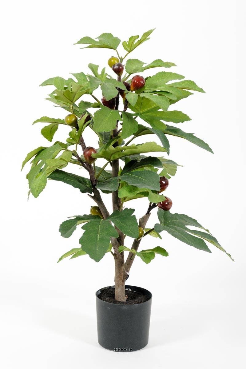 artificielles Figuier artificiel en pot avec fruits H 65 cm