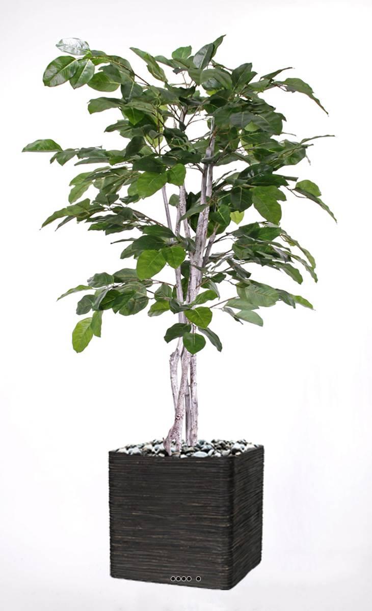 artificielles Figuier des Banyans artificiel 180 cm