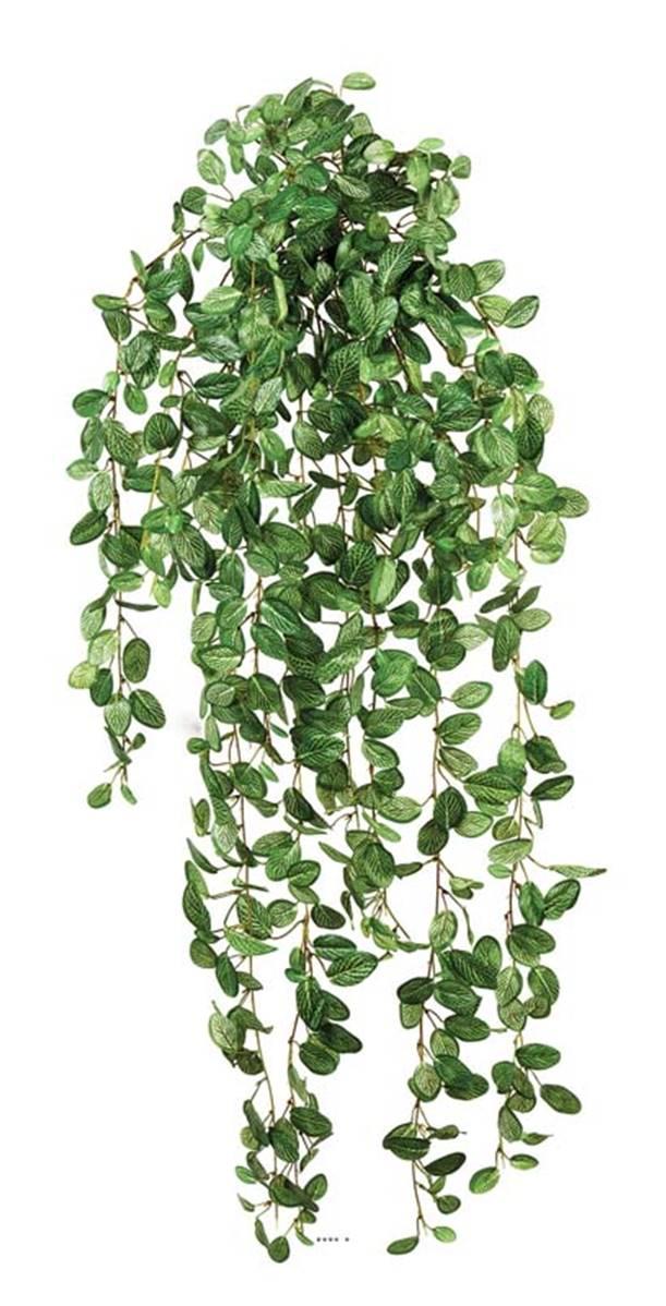 artificielles Fittonia artificiel en chute dense L 85 cm