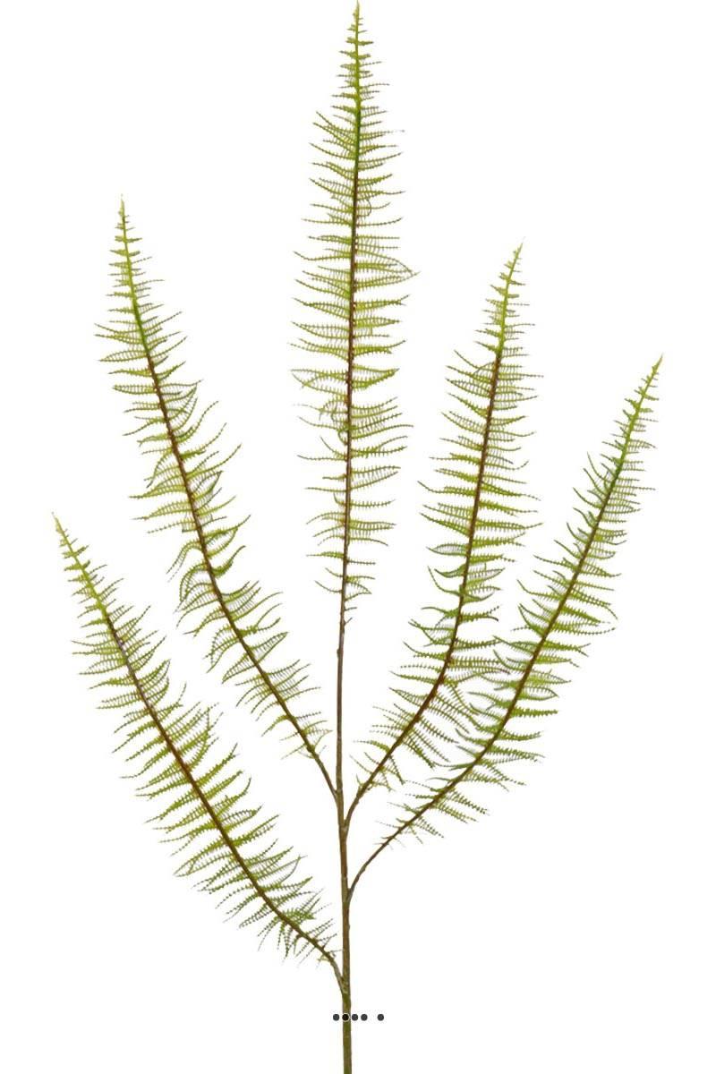 artificielles Fougere artificielle en branche H 69 cm 5 feuilles aeriennes du site Artificielles.com