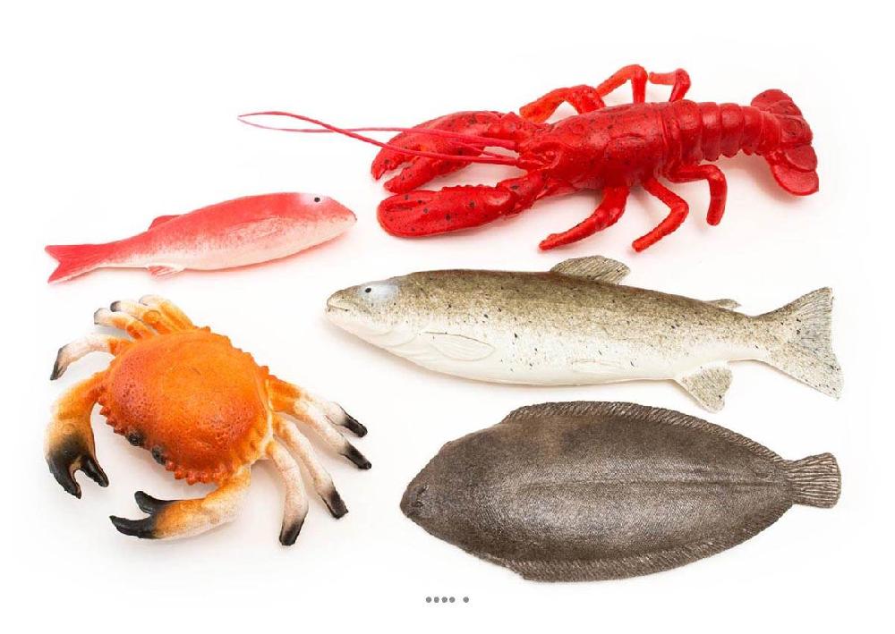 artificielles Fruits de la mer artificiels assortis en lot de 5 en Plastique soufflé