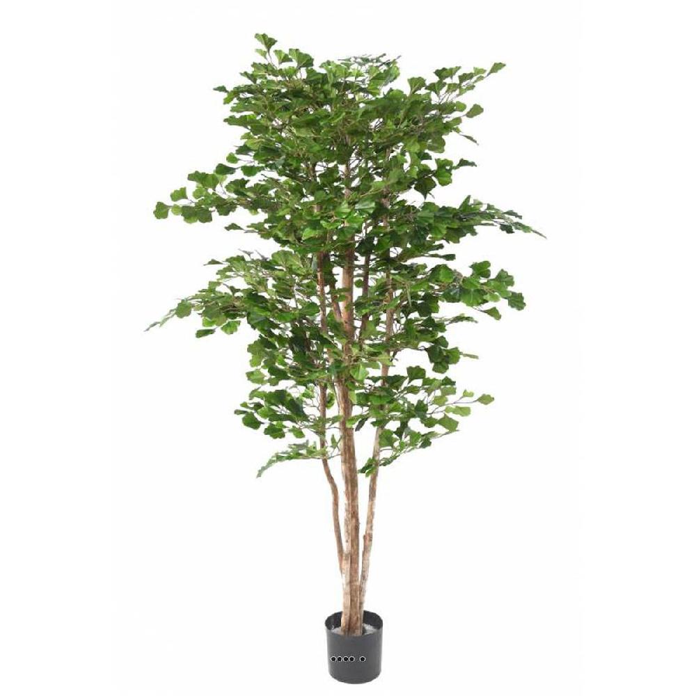 artificielles Gingko Artificiel Troncs bois naturels H 180 cm D 110 cm en pot