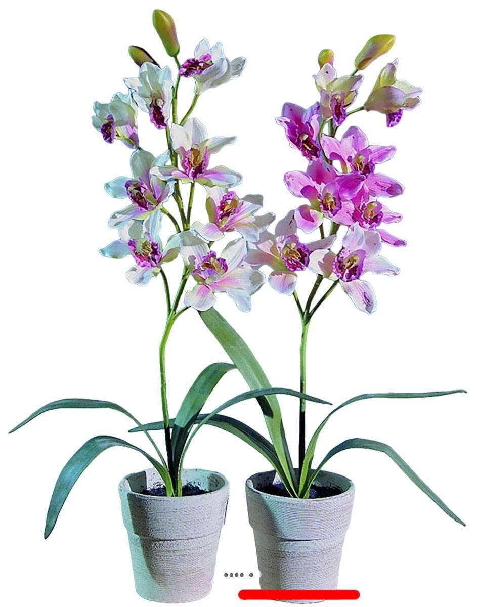 artificielles Grande orchidée artificielle| Artificielles.com artificielles Grande orchidée artificielle| Artificielles.com