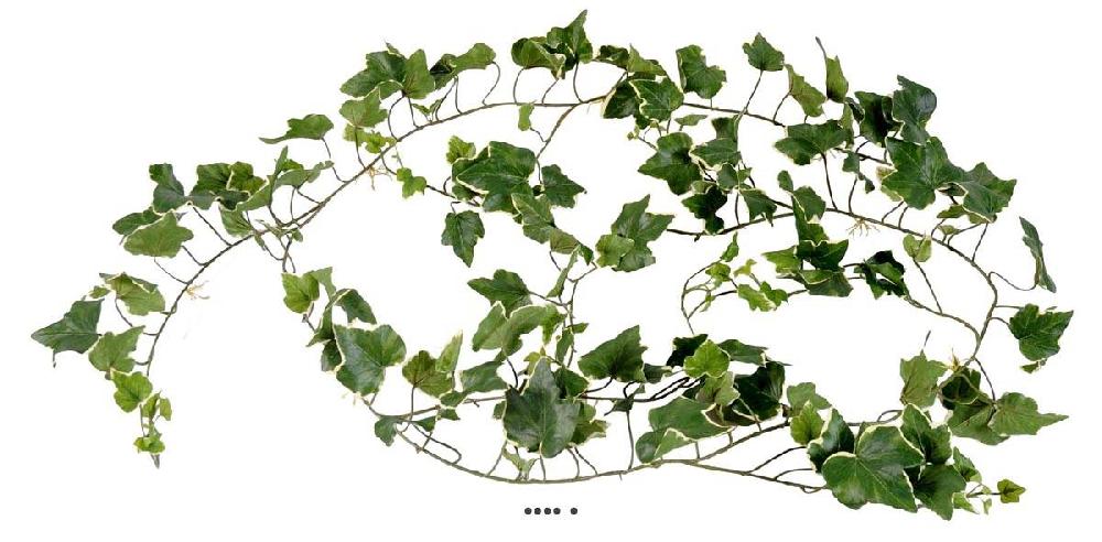artificielles Guirlande de lierre anglais artificiel anti-UV L 200 cm