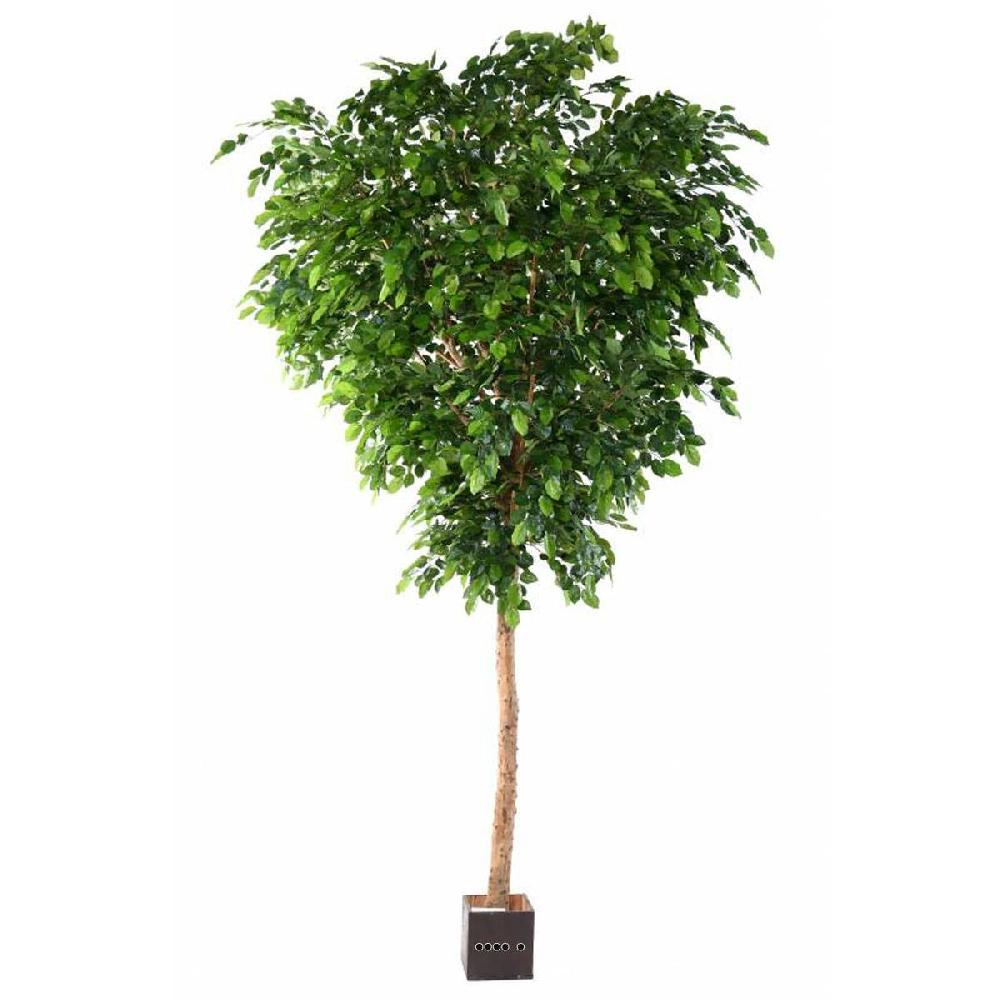 artificielles Hêtre Arbre Artificiel H 400 cm Tronc bois en pot