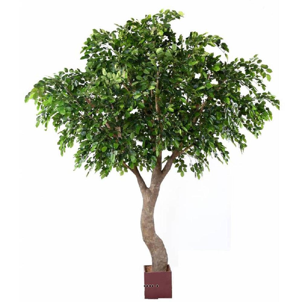 artificielles Hêtre Artificiel H 360 cm D 280 cm 8850 feuilles en pot