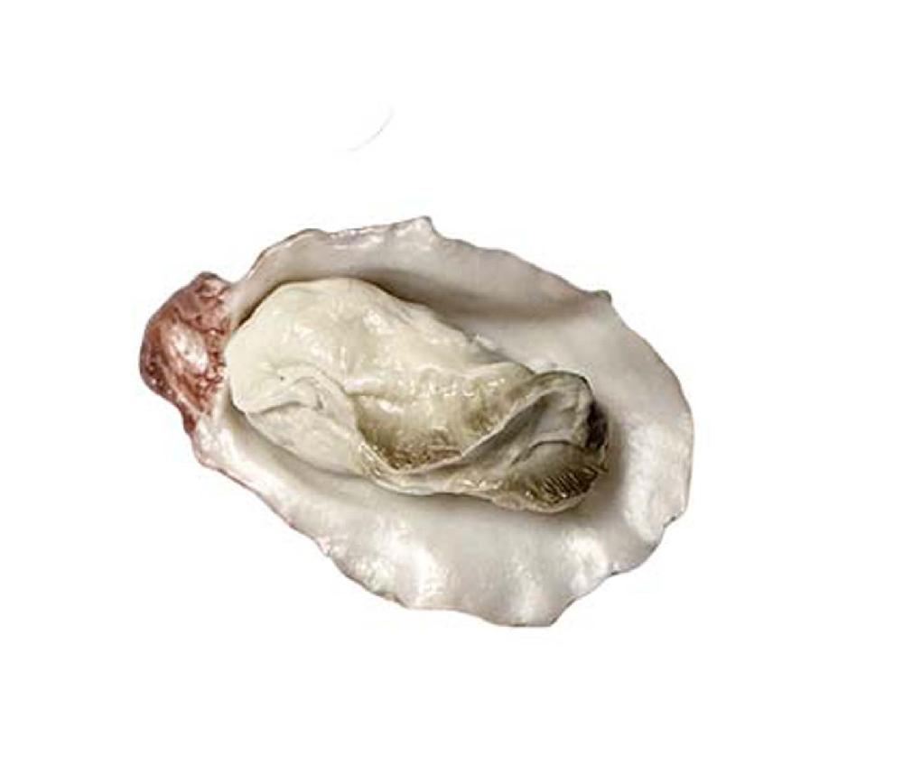 artificielles Huitre artificielle numero 5 longueur 6 cm et largeur 4 cm superbe du site Artificielles.com