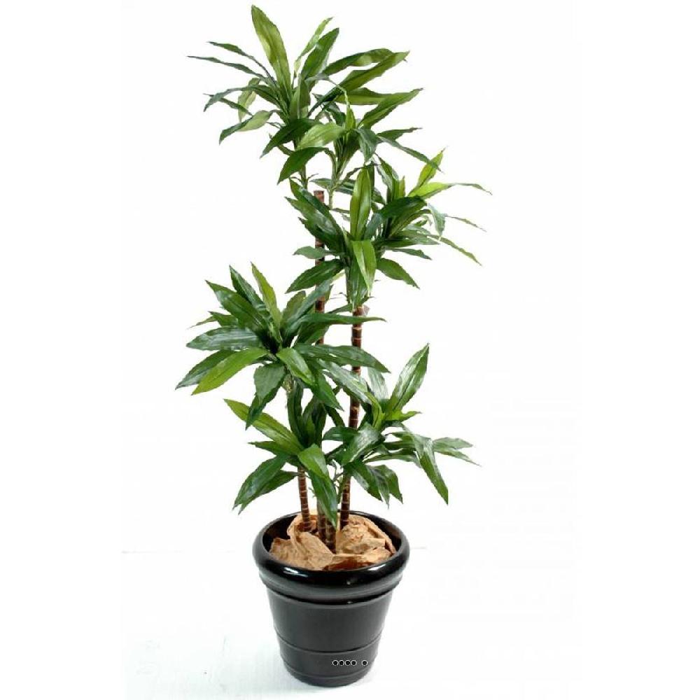 artificielles Joli Dracaena artificiel à 3 troncs en bois dans son pot