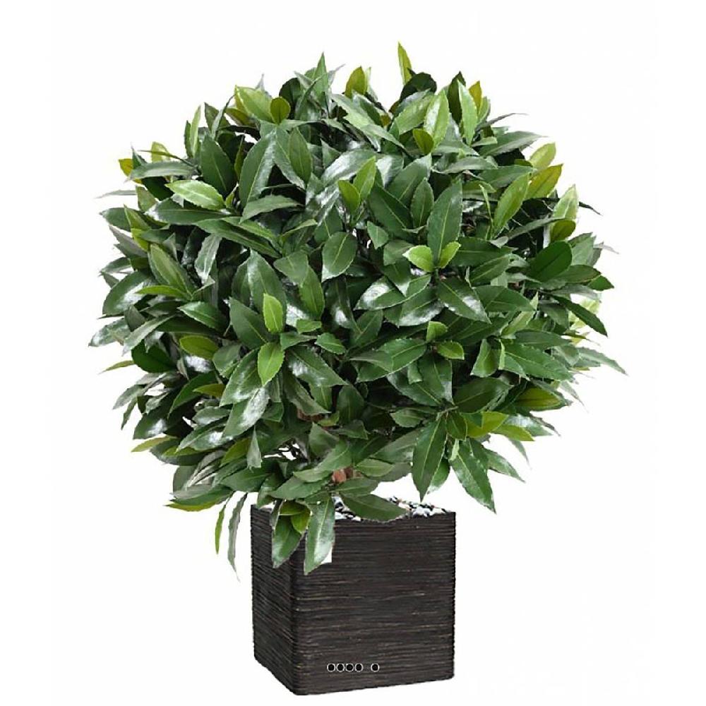 artificielles Laurier artificiel en boule sur tronc ext