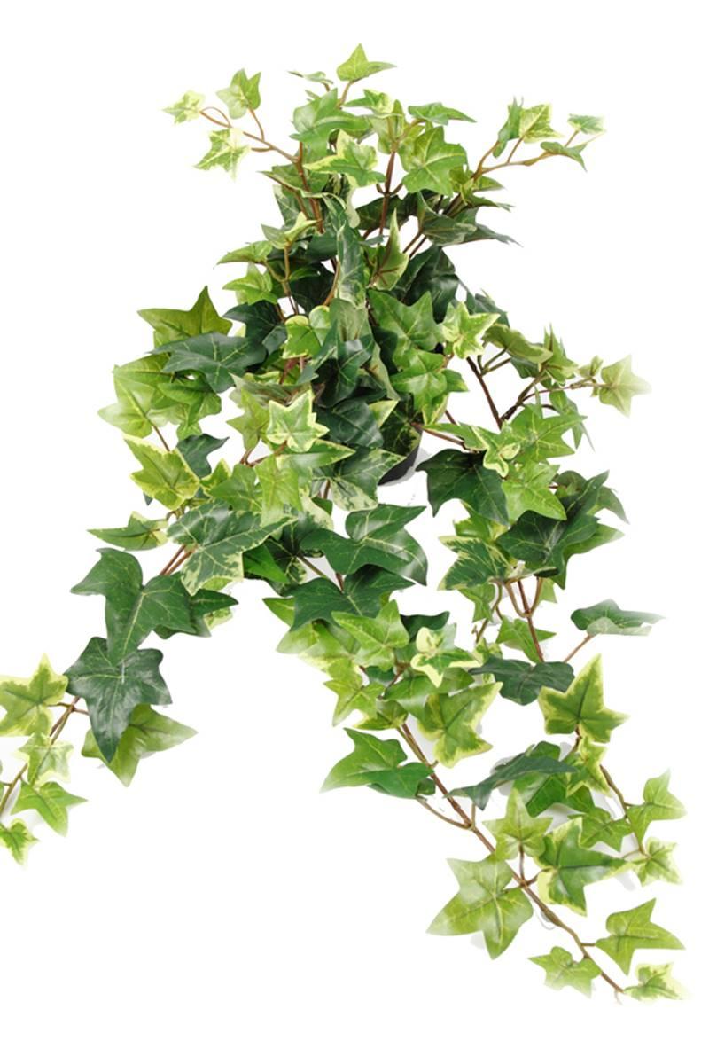 artificielles Lierre artificiel panaché en chute L 60 cm en pot 9 ramures dense H 25 cm du site Artificielles.com