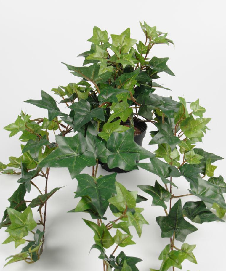 artificielles Lierre artificiel Vert en chute L 60 cm en pot 9 ramures dense H 20 cm du site Artificielles.com