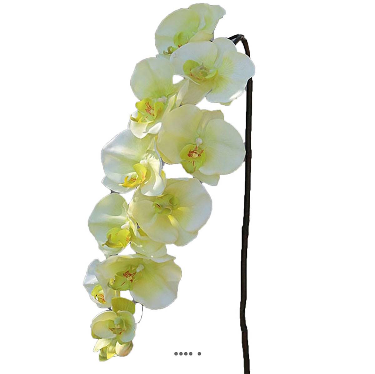 artificielles Magnifique tige de fausse orchidée réaliste artificielles Magnifique tige de fausse orchidée réaliste