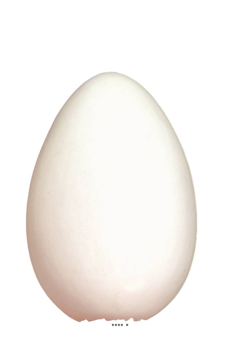 artificielles Œuf blanc artificiel en lot de 12 en Plastique soufflé H 170x100 mm
