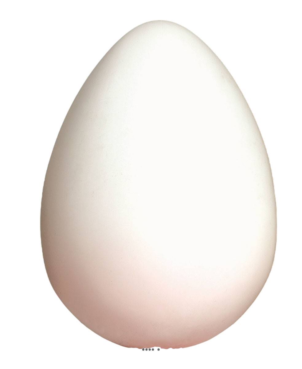 artificielles Œuf blanc artificiel en Plastique soufflé H 300x200 mm