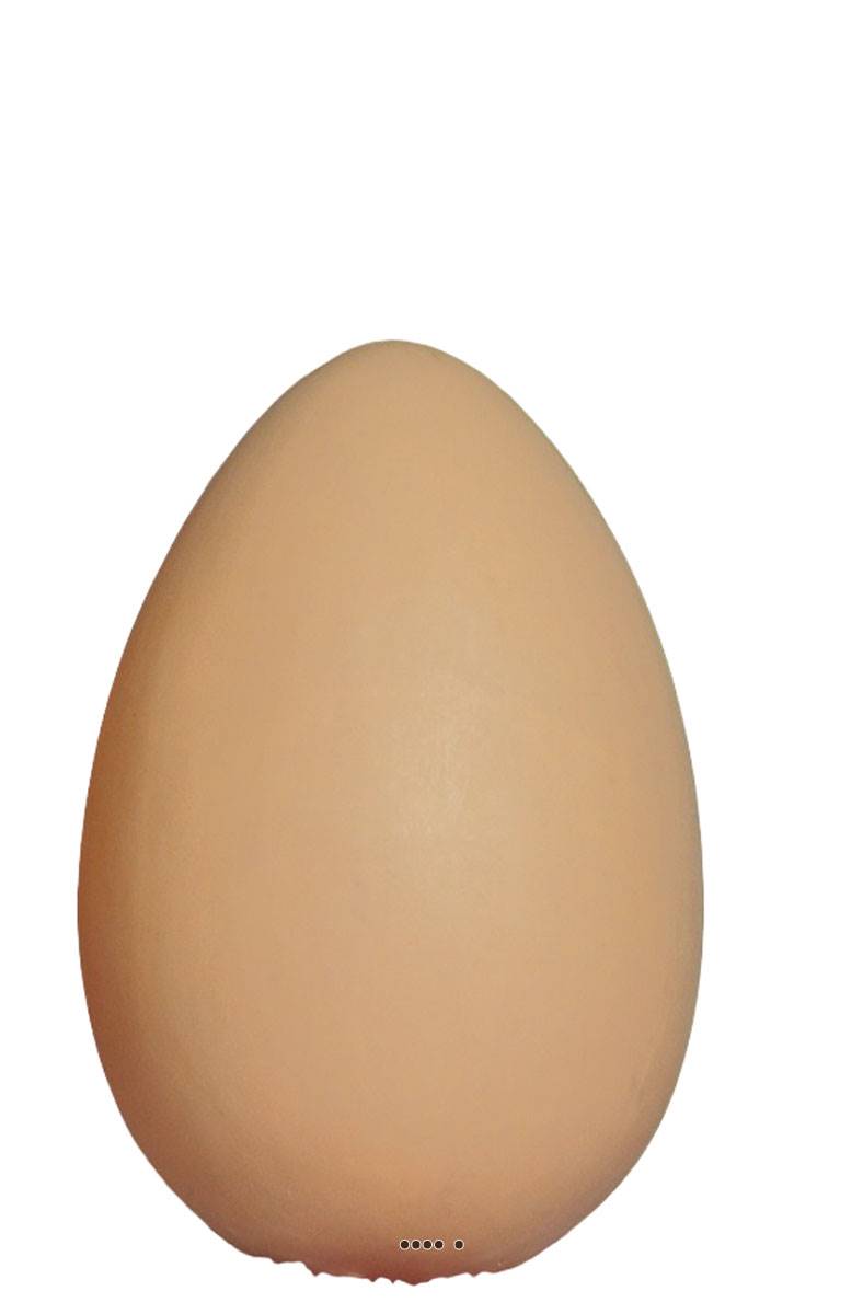 artificielles Œuf brun artificiel en lot de 12 en Plastique soufflé H 170x100 mm