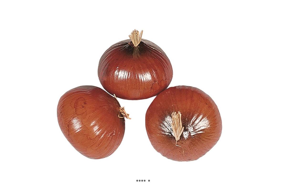 artificielles Oignon brun artificiel en lot de 3 en Plastique soufflé H 75x60 mm