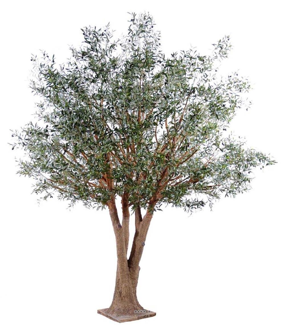 artificielles Olivier geant artificiel Tronc Fibre de verre et bois avec Olives noires du site Artificielles.com