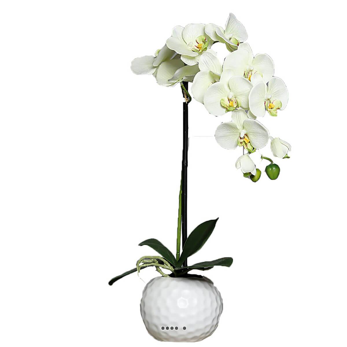 artificielles Orchidee artificielle 1 hampe en pot Ceramique Blanc H 46 cm du site Artificielles.com