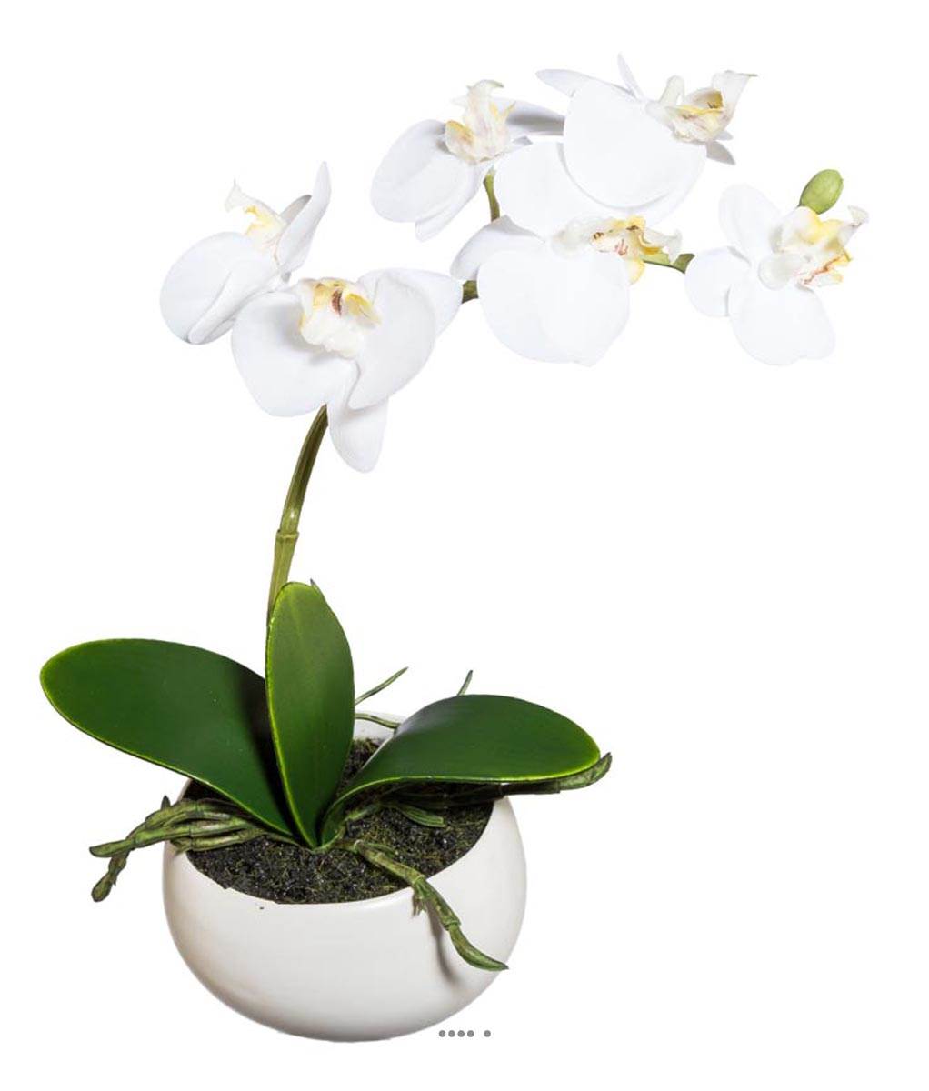 artificielles Orchidee artificielle 1 hampe en pot ceramique H 26 cm touché réel du site Artificielles.com