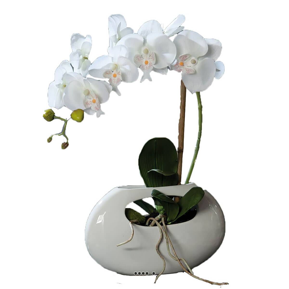 artificielles Orchidee artificielle 1 hampe pot Ceramique Blanc oval H 43 cm du site Artificielles.com