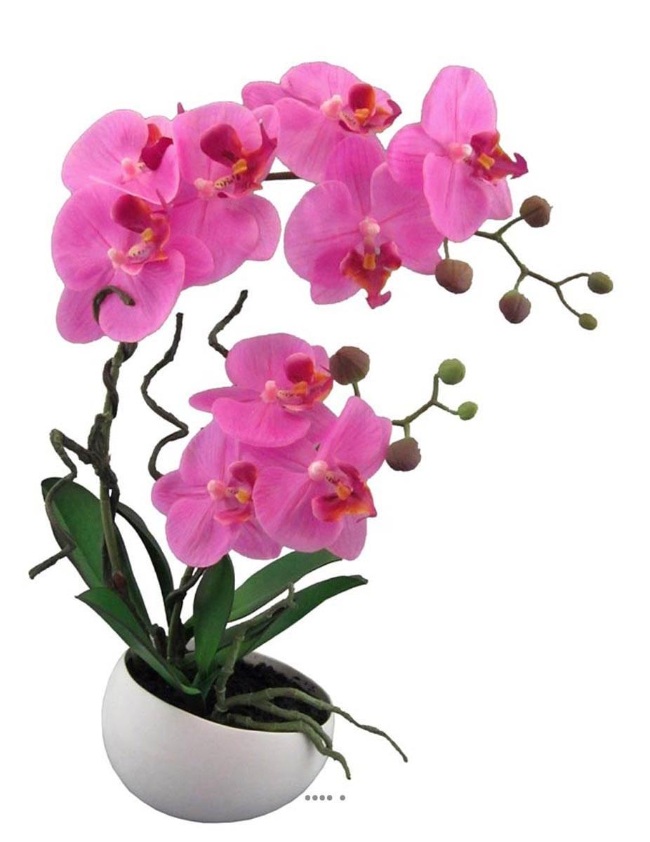 artificielles Orchidee artificielle 2 hampes en coupe ceramique H 45 cm toucher reel du site Artificielles.com