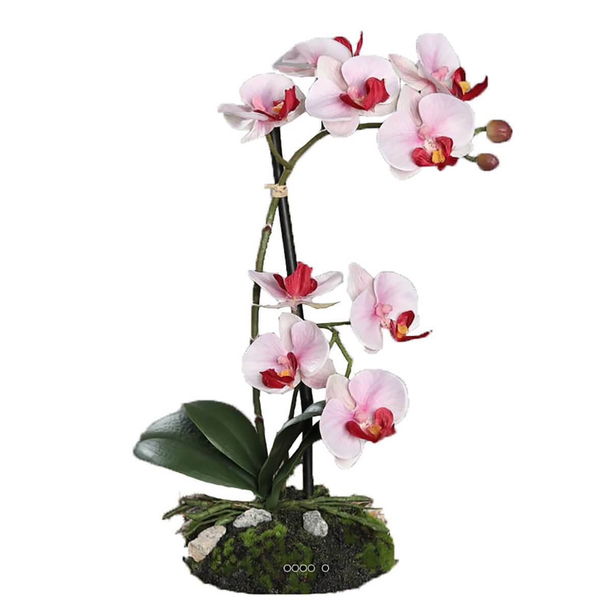 artificielles Orchidee artificielle 2 hampes sur motte H 33 cm 9 fleurons tissu