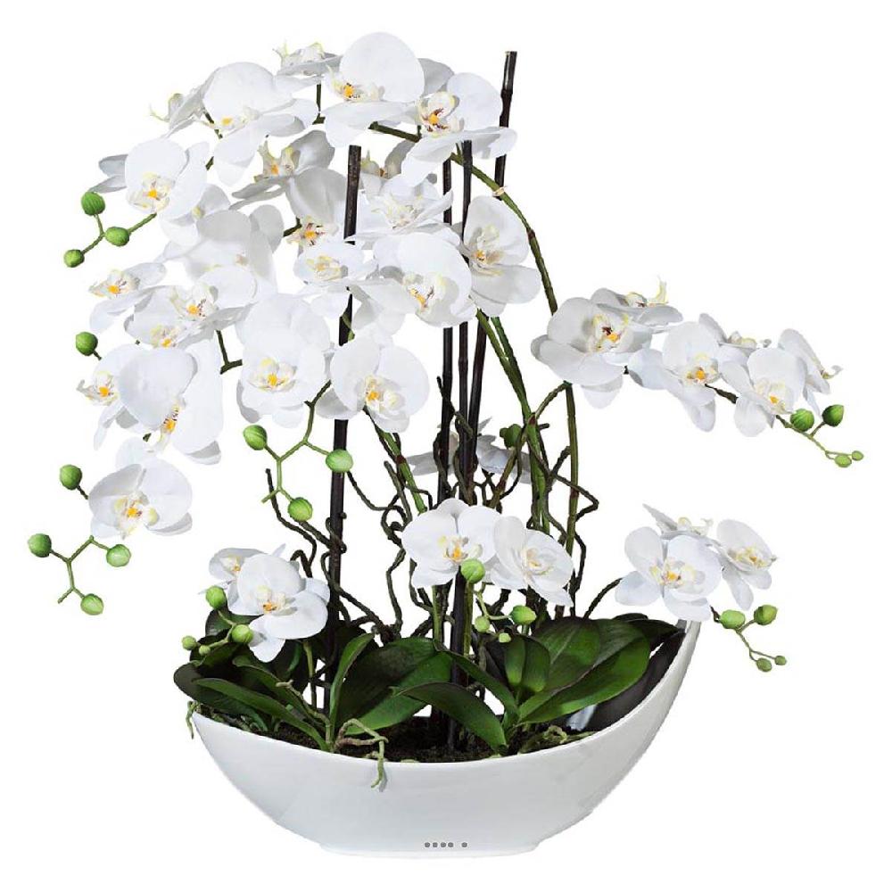 artificielles Orchidee artificielle 9 hampes en coupe Ceramique Blanc H 70 cm magistrale du site Artificielles.c