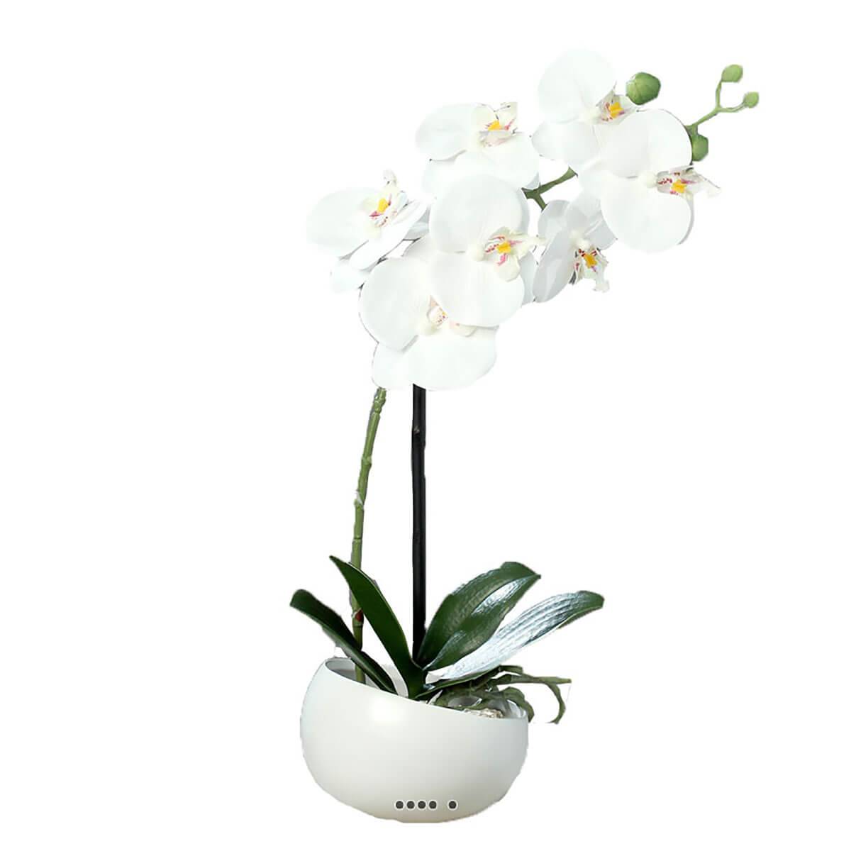 artificielles Orchidee artificielle en coupe ceramique - Fausses plantes réalistes - Site Artificielles.com