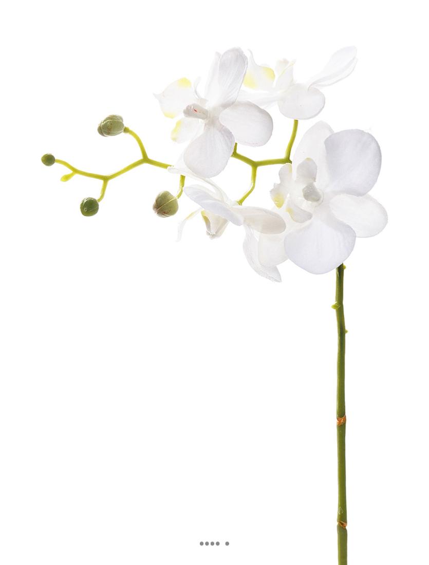 artificielles Orchidee Phalaenopsis Artificiel Blanc H 30 cm mini fleurons du site Artificielles.com