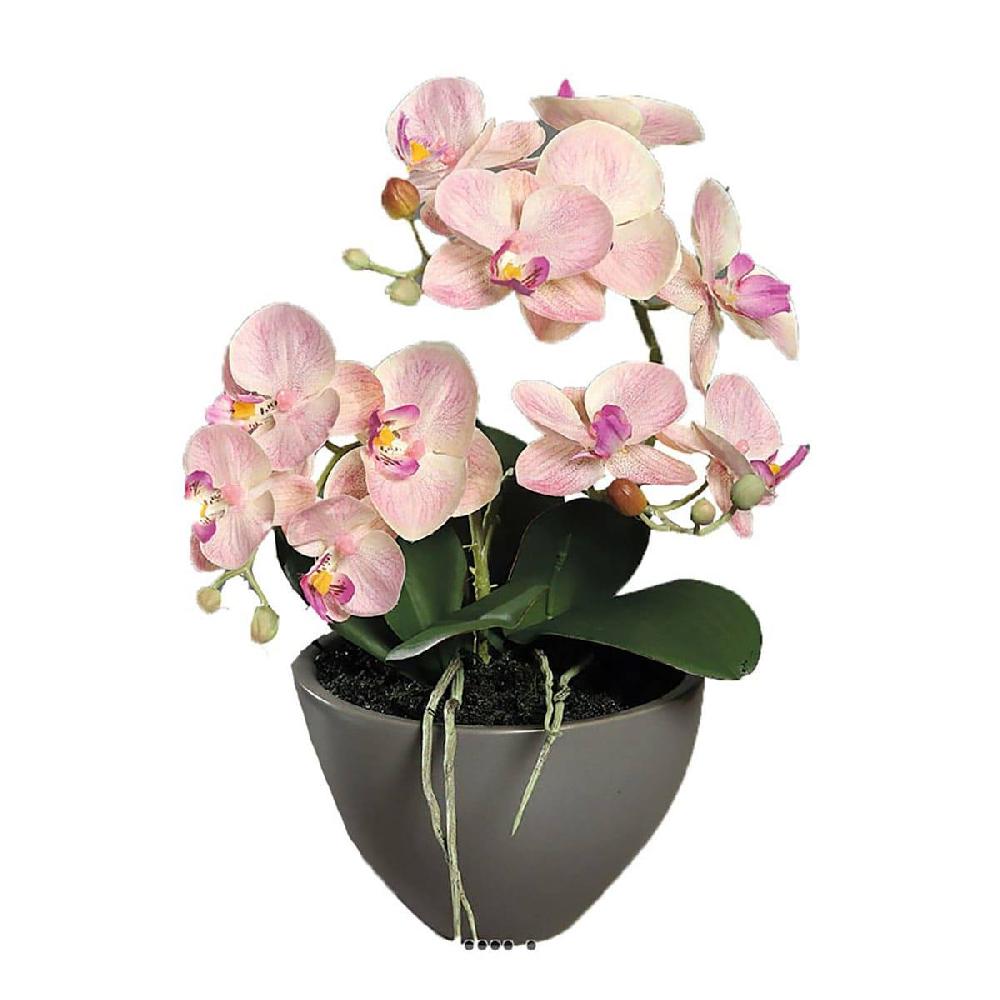 artificielles Orchidée phalaenopsis artificielle en coupe céramique H 35 cm du site Artificielles.com
