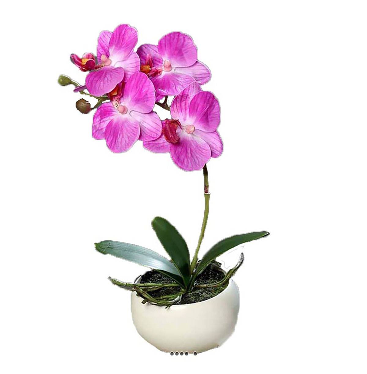 artificielles Orchidée phalaenopsis artificielle en coupe céramique H 25 cm du site Artificielles.com