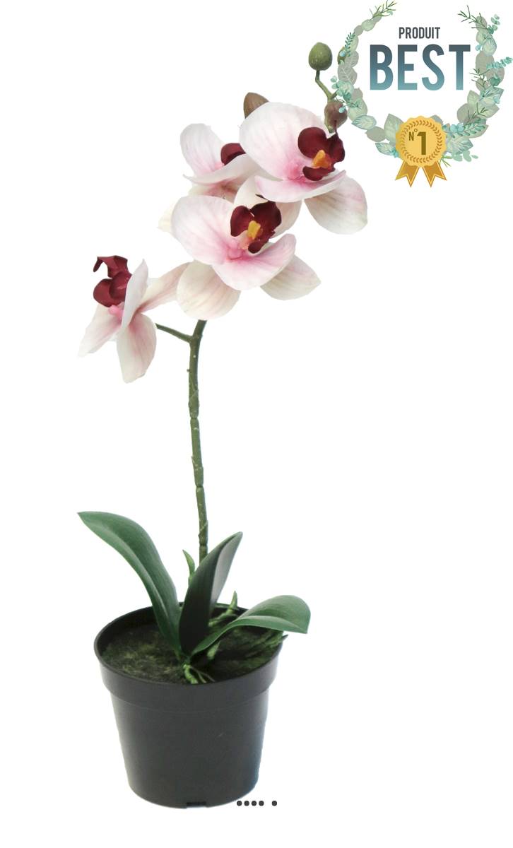 artificielles Orchidée Phalaenopsis artificielle rose crème en pot qualité décorateur