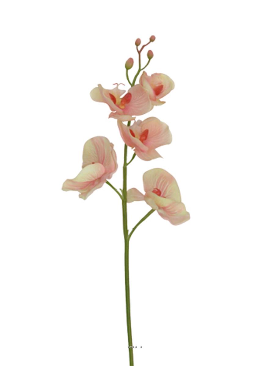 artificielles Orchidee Phalaenopsis Ines 77cm haut de gamme latex du site Artificielles.com