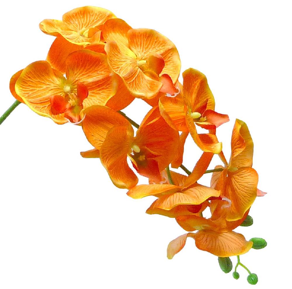 artificielles Orchidee Tao artificielle H 105 cm 8 fleurons 5 boutons qualite Pro du site artificielles.com