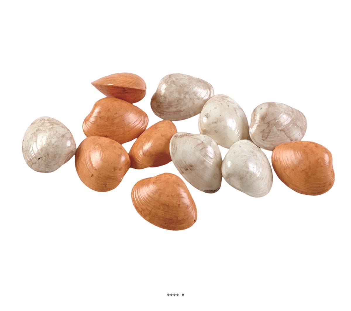 artificielles Petits coquillages assortis en lot de 12 en Plastique soufflé D 60 mm