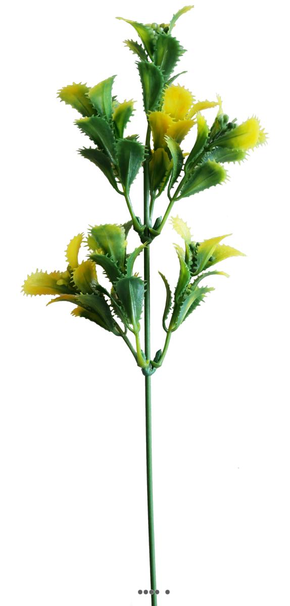 artificielles Pic de buis piquant artificiel panache H 25 cm en plastique du site Artificielles.com