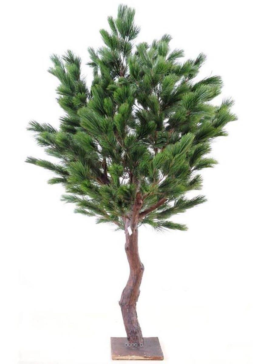 artificielles Pin geant artificiel Tronc Fibre de verre et bois Feuillage PE sur platine du site Artificielles.com