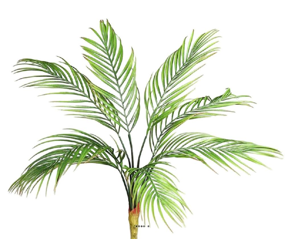 artificielles Piquet de 8 feuilles de Palmier Phoenix Factices H 65 cm plastique
