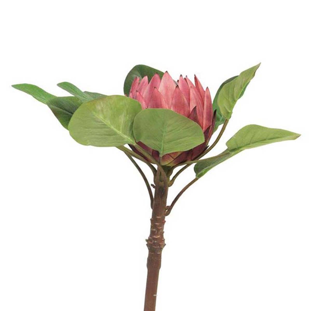 artificielles Protea artificielle spéciale grande taille H 84 cm