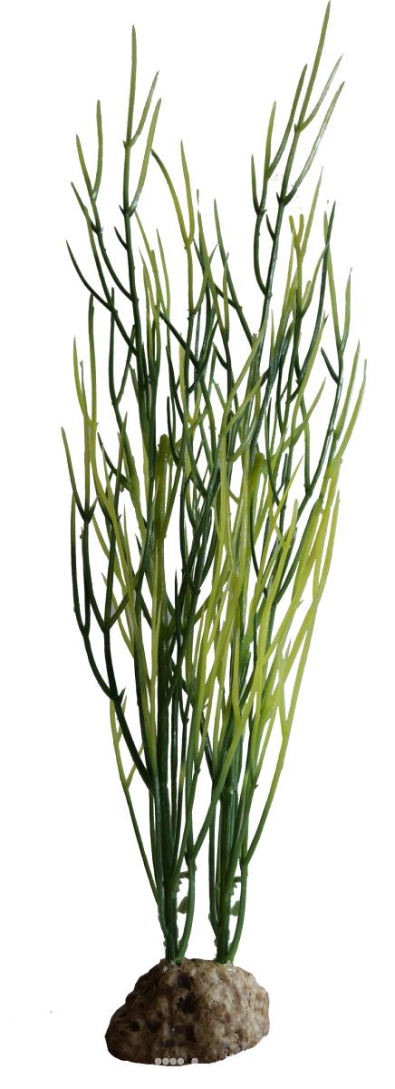 artificielles Sagittaria artificielle Vert-Jaune lestee H 25 cm environ pour aquarium et vivarium TOP PROMO