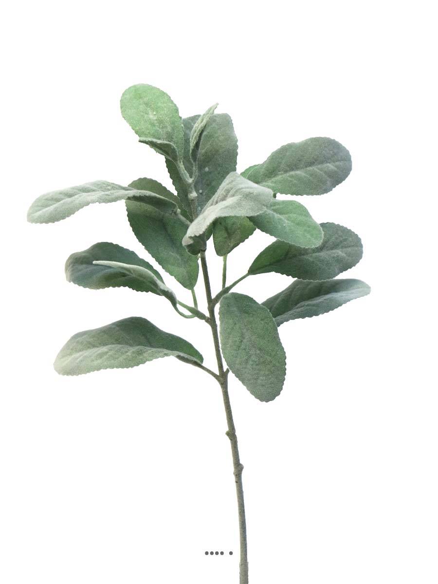 artificielles Sauge en branche artificielle H 35 cm Vert du site Artificielles.com