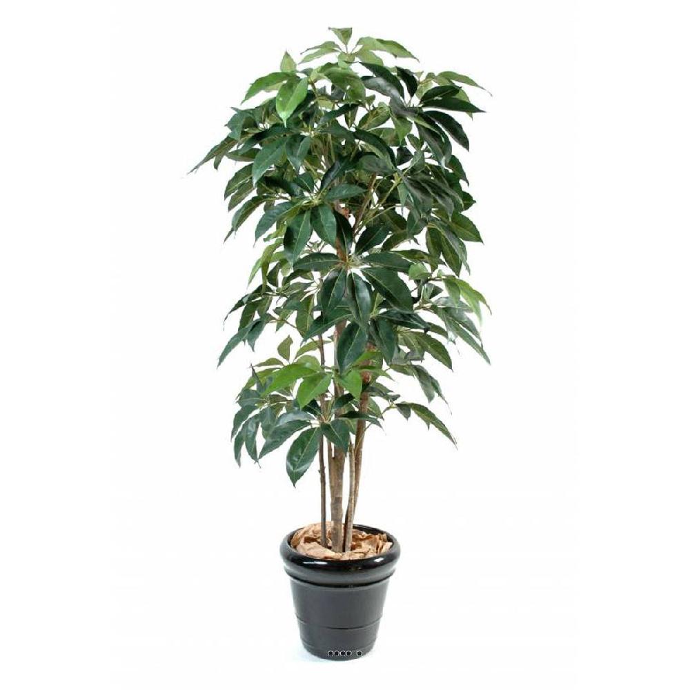artificielles Schefflera artificiel en pot Iroto tronc naturel superbe densite du site Artificielles.com