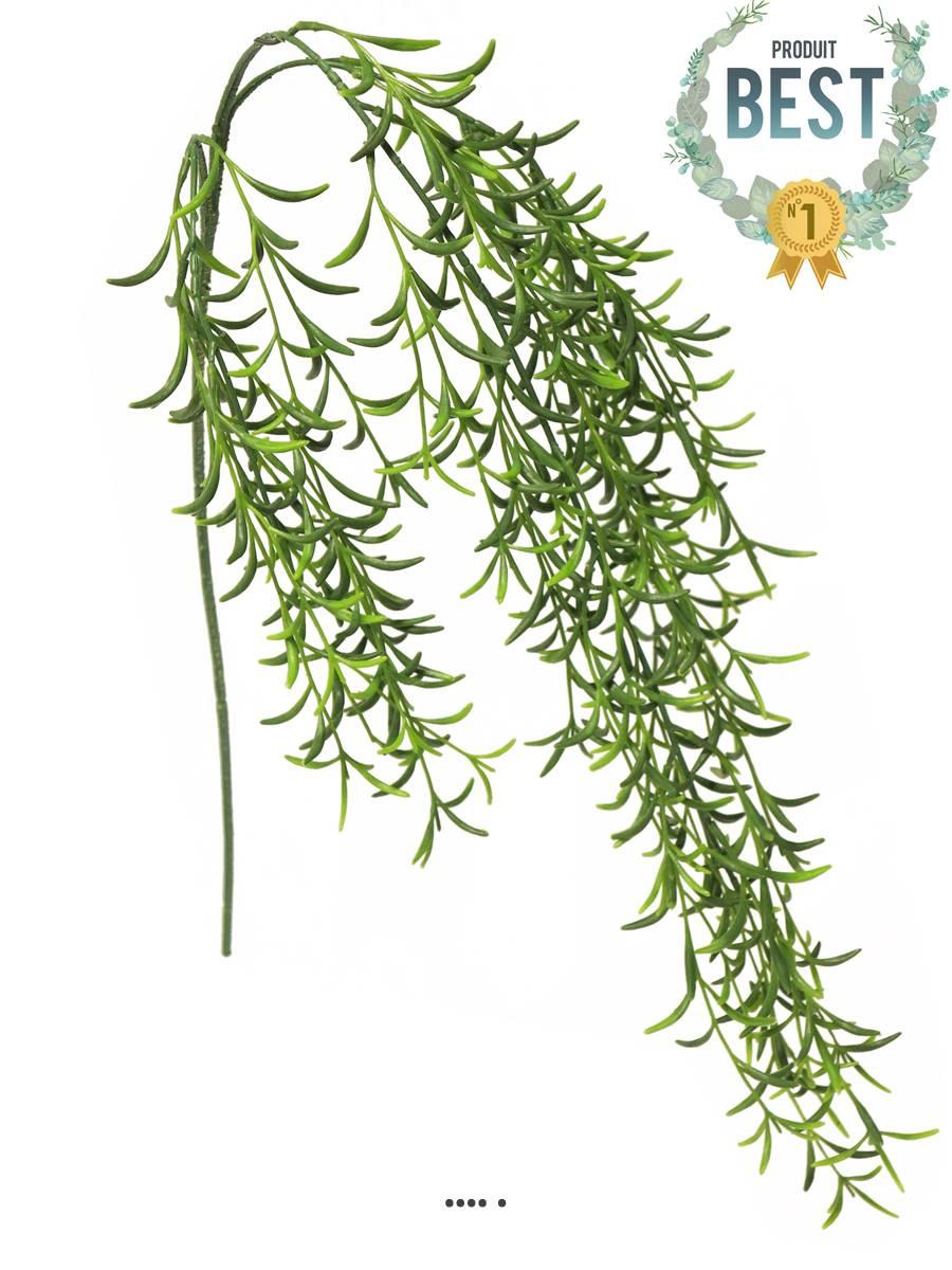 artificielles Séneçon de Barbeton artificiel en chute