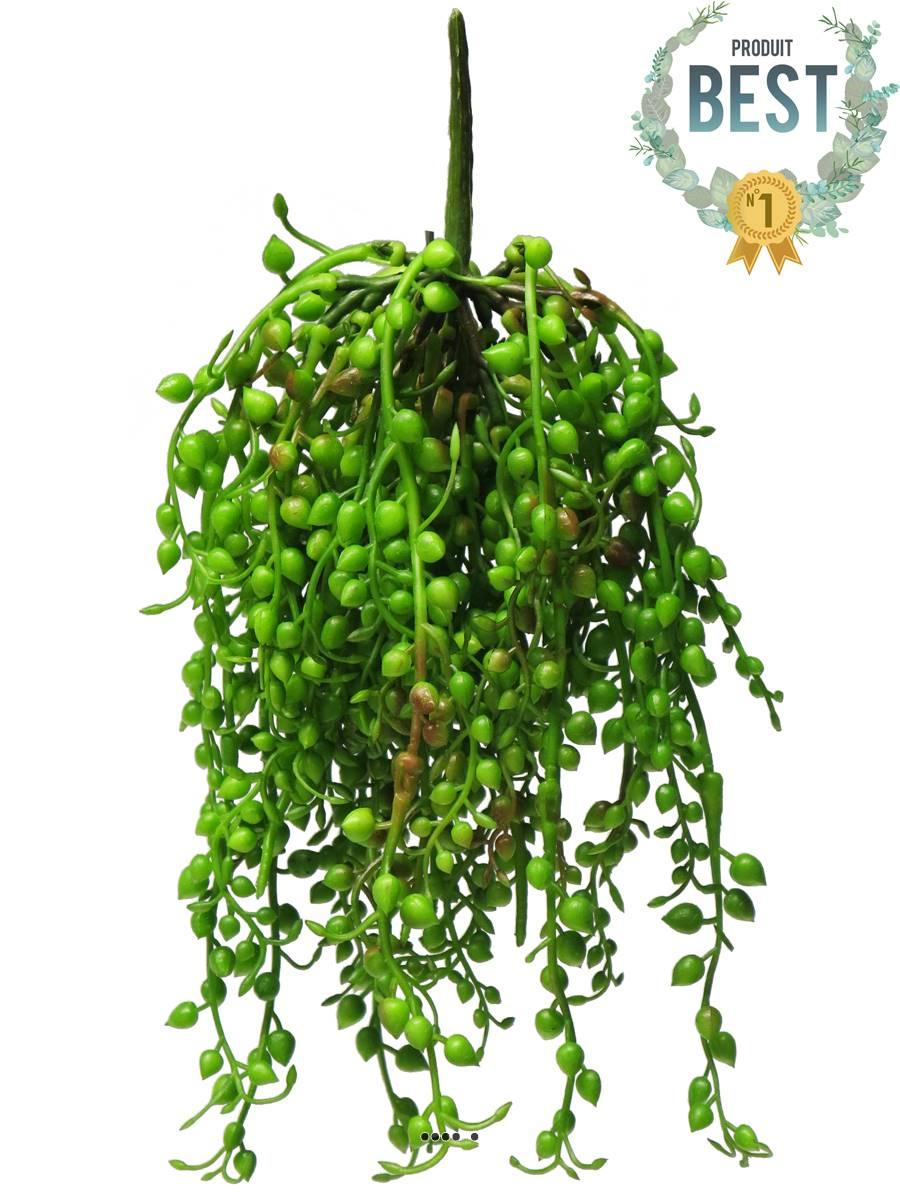 artificielles Séneçon de Rowley artificiel en chute