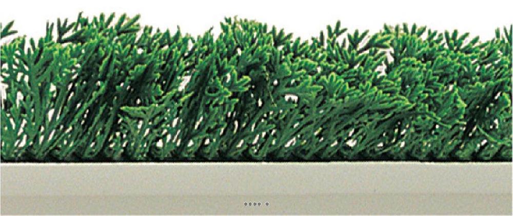 artificielles Separateur barrette Feuillage plastique Cypres vert L 75 cm socle blanc
