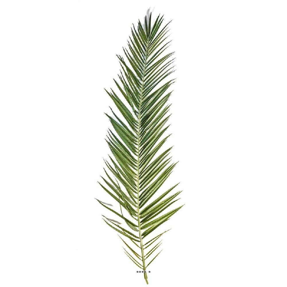 artificielles Set de 15 feuilles artificielles de Palmier Phoenix Canariensis L188 cm du site Artificielles.com