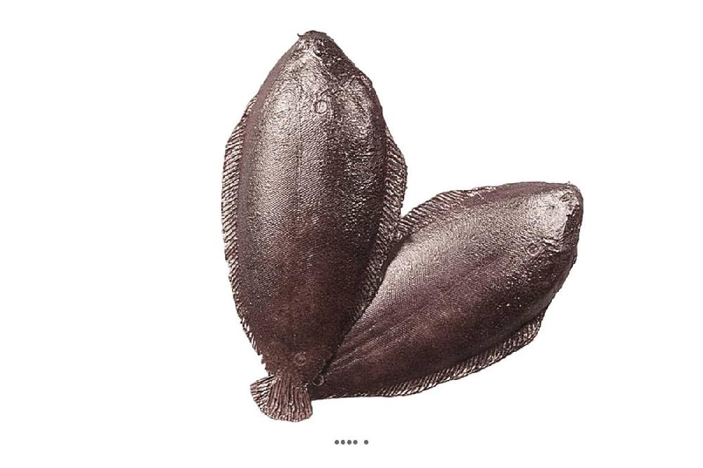 artificielles Sole artificielle poisson en lot de 2 Plastique soufflé L 270x120 mm