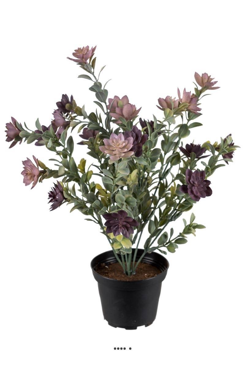 artificielles Succulente fleurie artificielle en pot cactée fleurie Violet H 30 cm