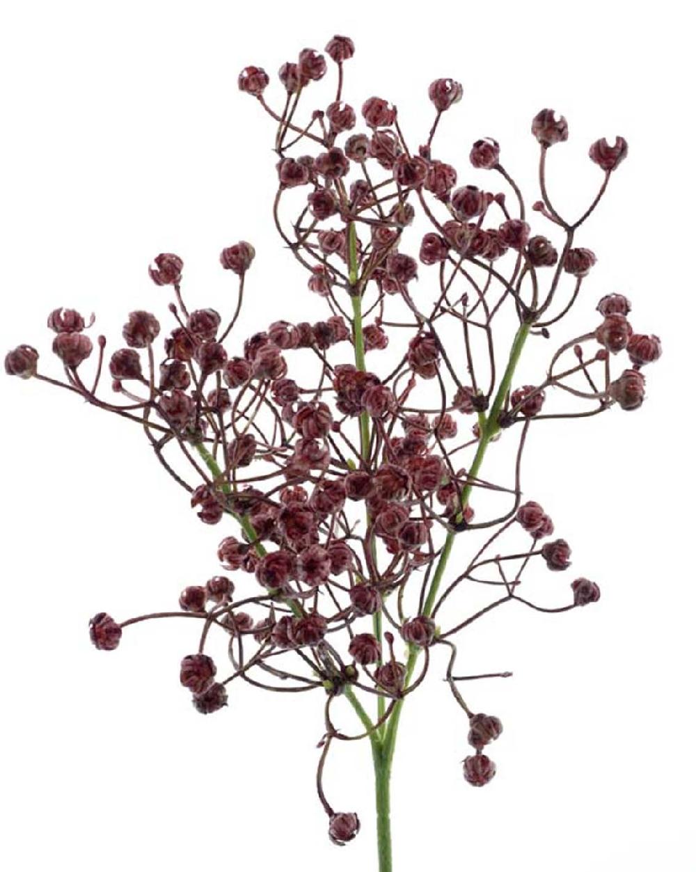 artificielles Superbe Gypsophile artificiel en bouquet H 42 cm superbes fleurs en plastique