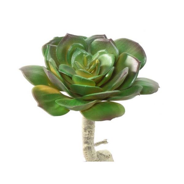 artificielles Superbe succulente artificielle en tige H15cm